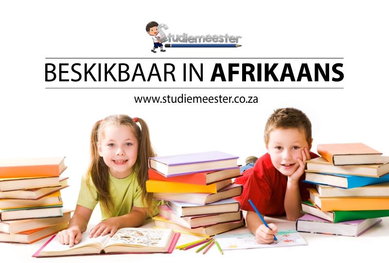 Studiemeester